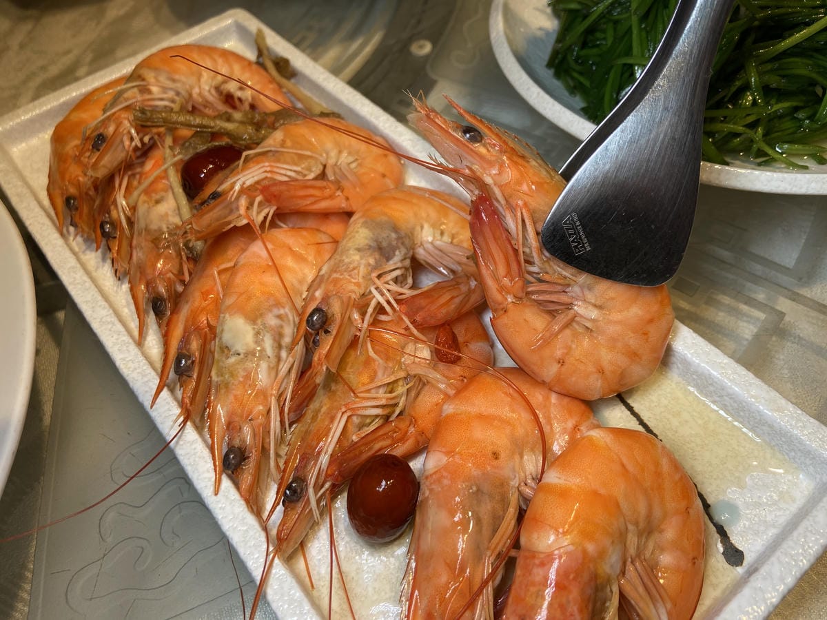 IMG_2490.JPG IMG_2490.JPG