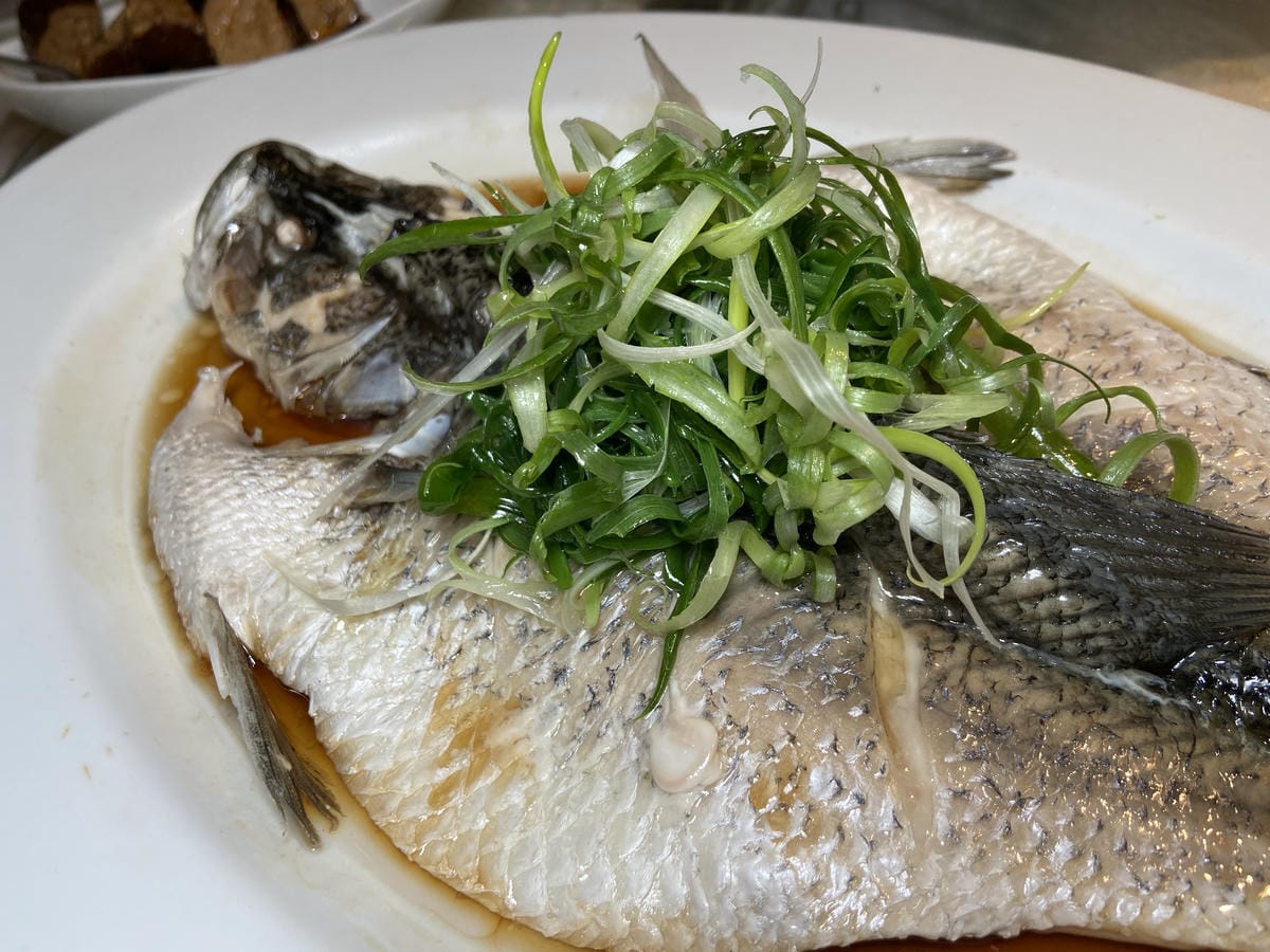 IMG_2481.JPG IMG_2481.JPG