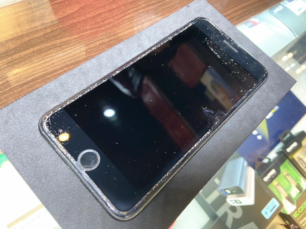 IMG_4955_副本.jpg IMG_4955_副本.jpg