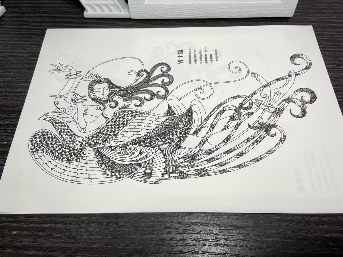 IMG_6533.JPG IMG_6533.JPG