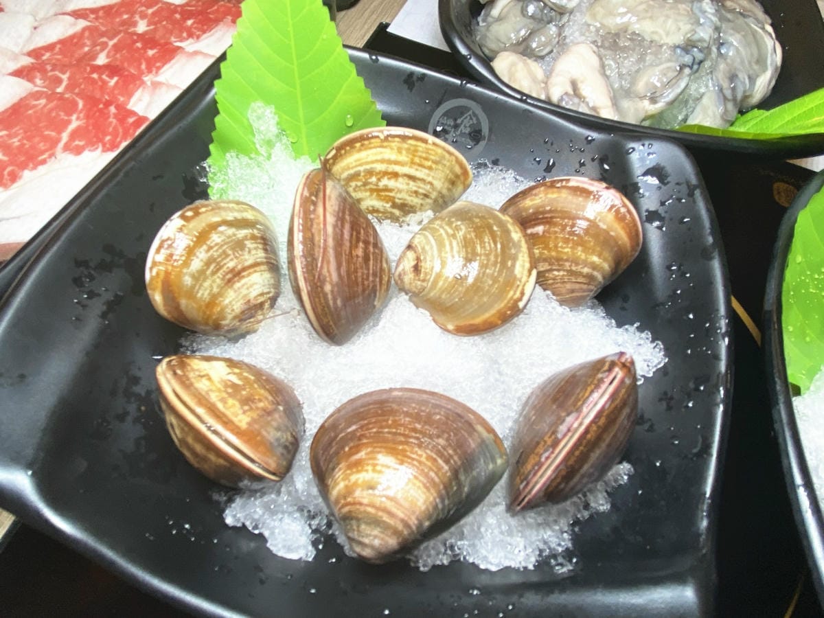 IMG_5708_副本.jpg IMG_5708_副本.jpg