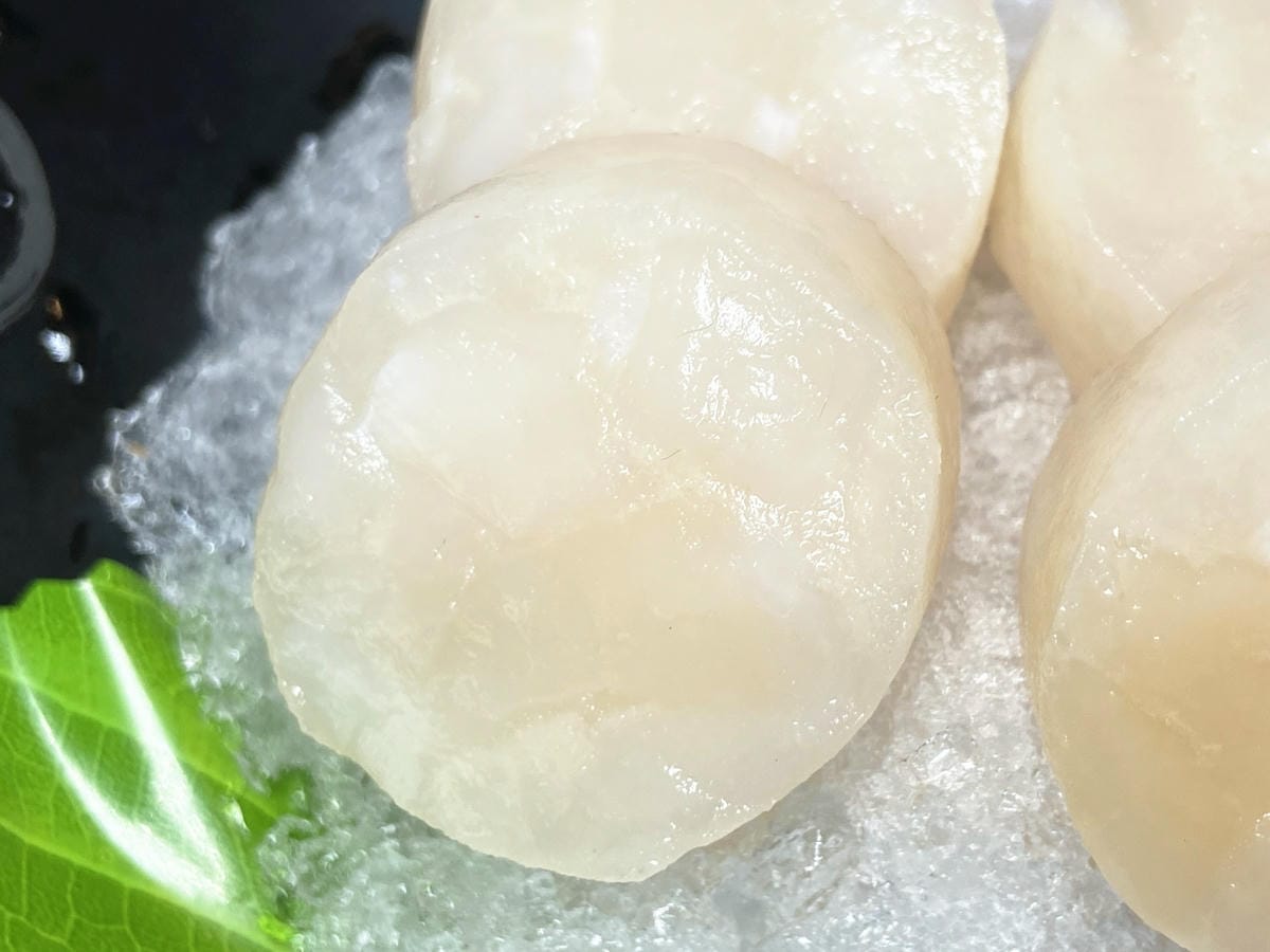 IMG_5745_副本.jpg IMG_5745_副本.jpg