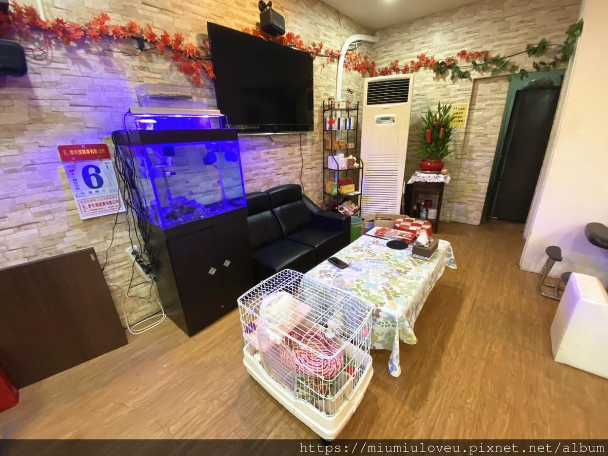 IMG_4212_副本.jpg IMG_4212_副本.jpg