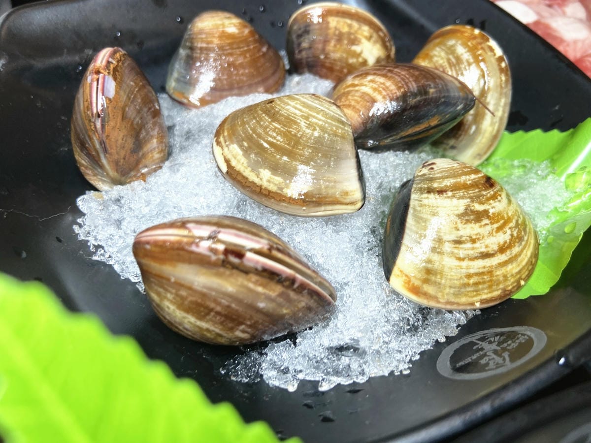 IMG_5773_副本.jpg IMG_5773_副本.jpg