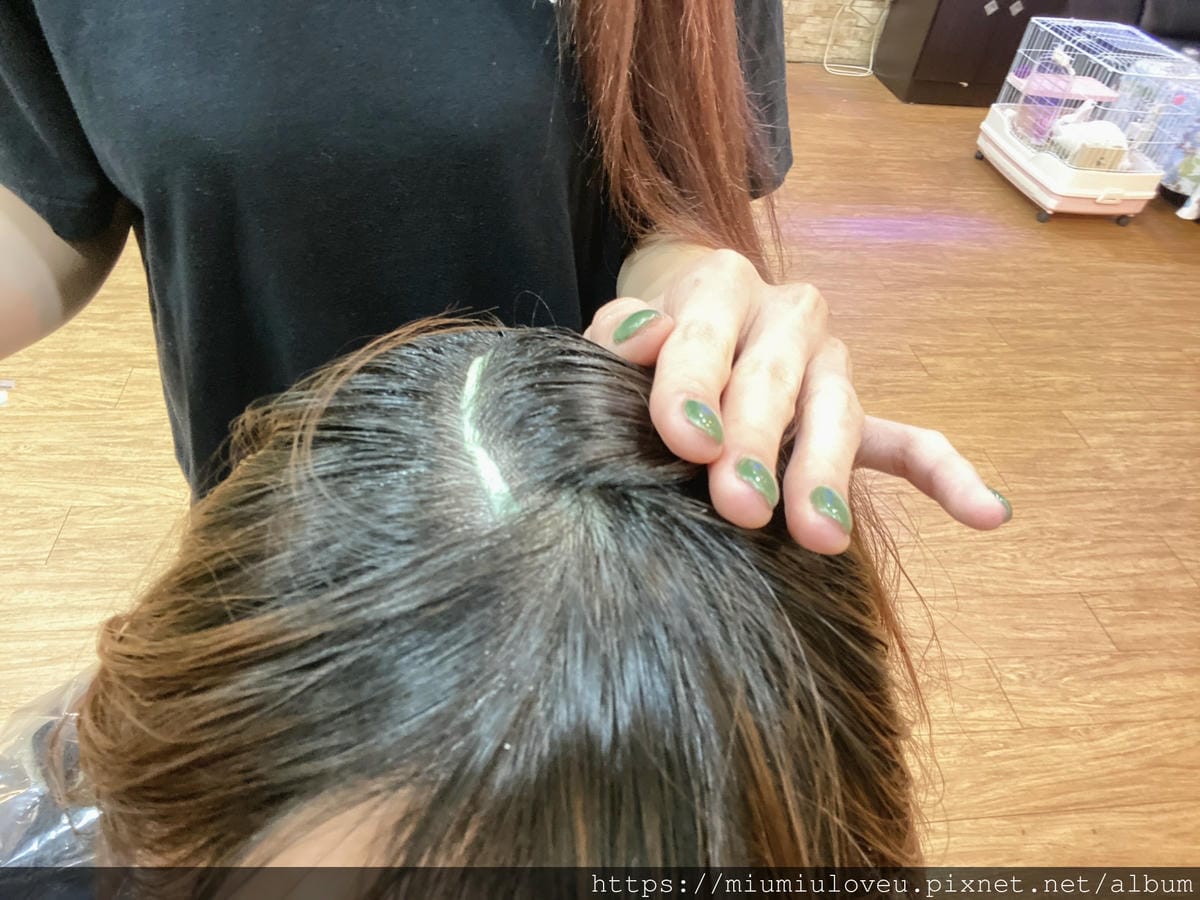 IMG_4229_副本.jpg IMG_4229_副本.jpg