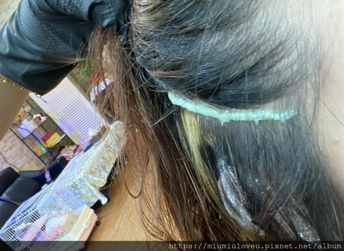 IMG_4267_副本.jpg IMG_4267_副本.jpg