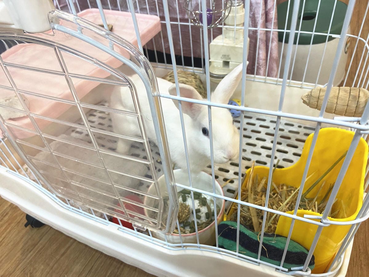 IMG_5653_副本.jpg IMG_5653_副本.jpg