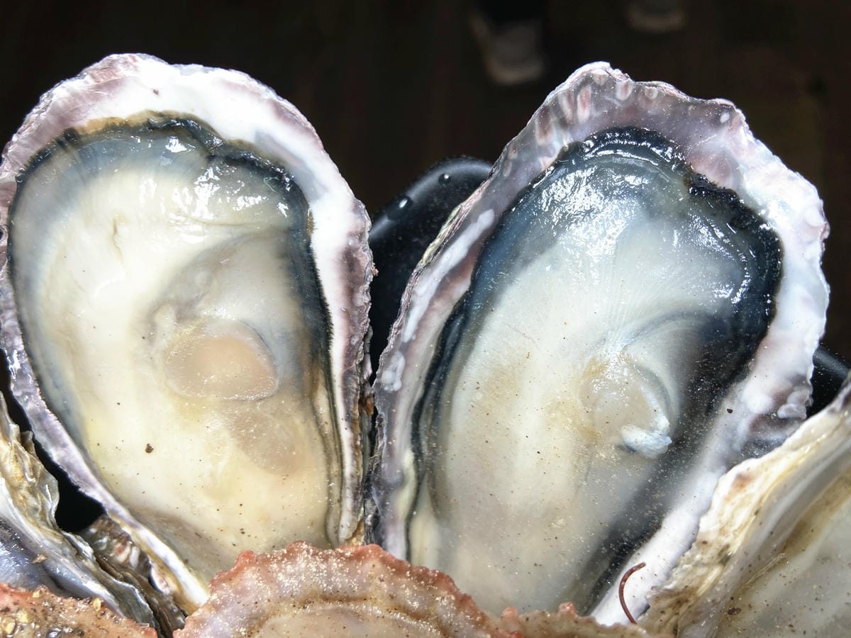 IMG_6929_副本.jpg IMG_6929_副本.jpg