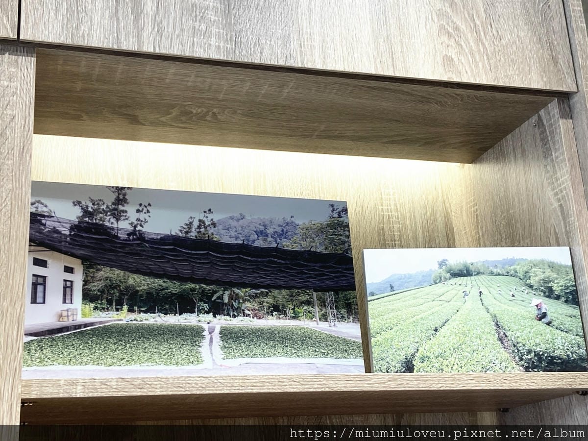 IMG_7928_副本.jpg IMG_7928_副本.jpg