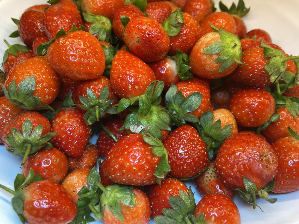 IMG_9609_副本.jpg IMG_9609_副本.jpg