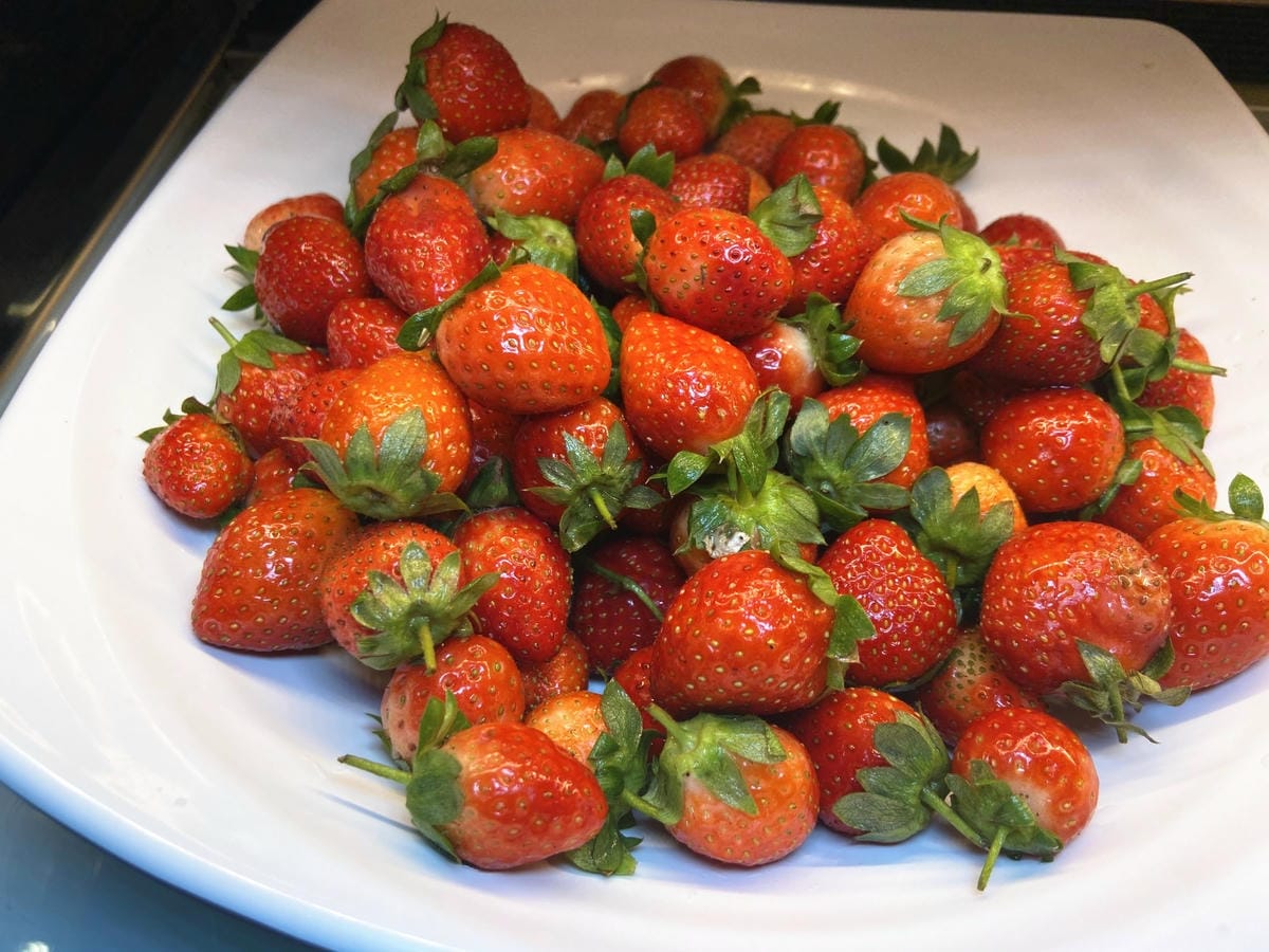 IMG_9608_副本.jpg IMG_9608_副本.jpg