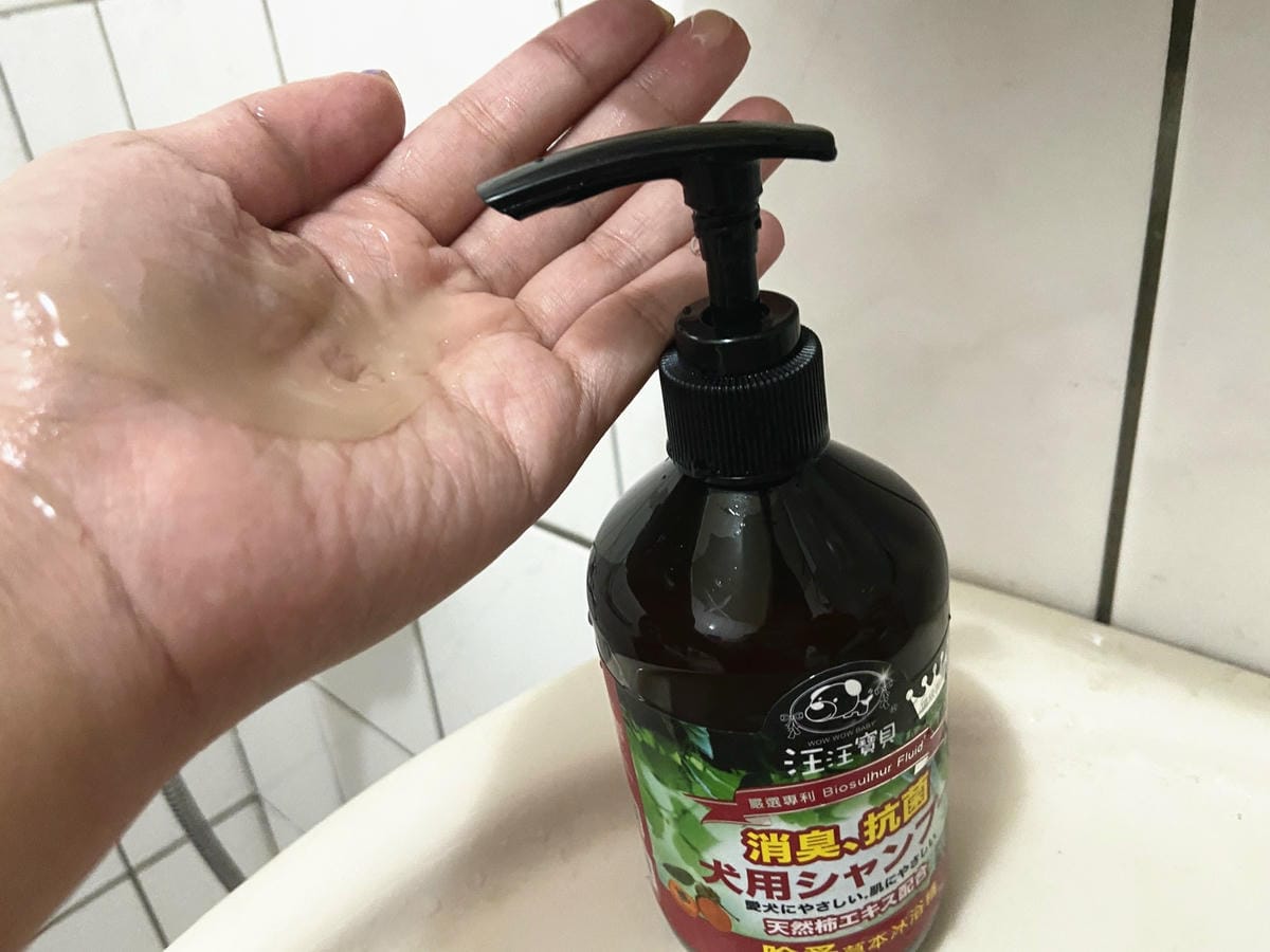 貓咪洗澡推薦_汪汪寶貝12.jpg 貓咪洗澡推薦_汪汪寶貝12.jpg