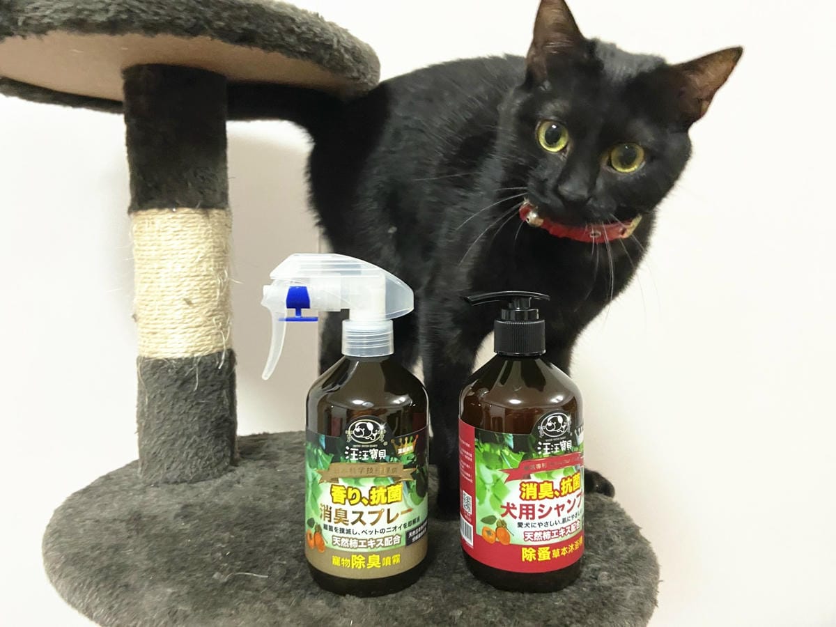 貓咪洗澡推薦_汪汪寶貝4.jpg 貓咪洗澡推薦_汪汪寶貝4.jpg