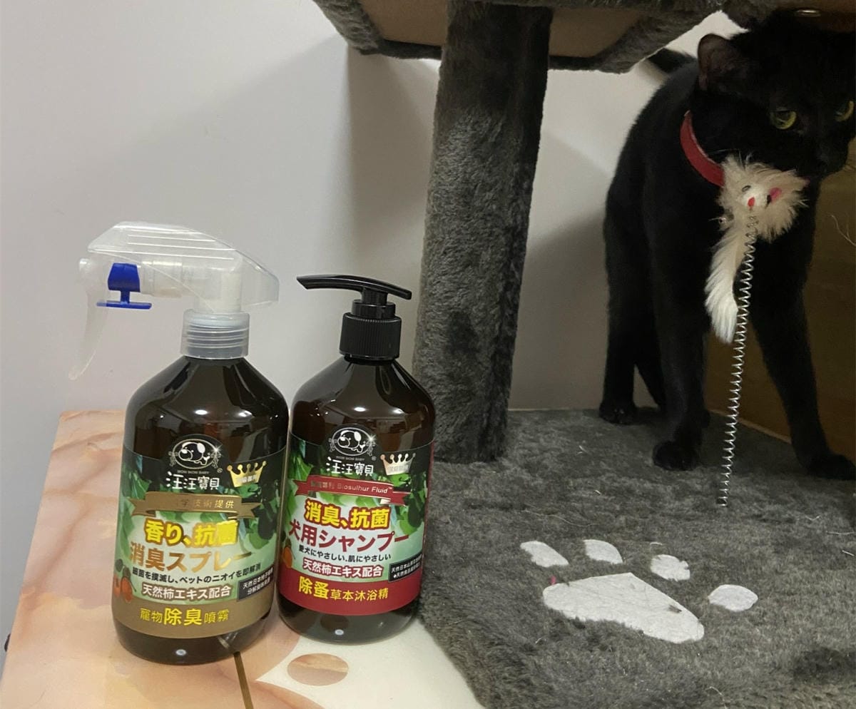 貓咪洗澡推薦_汪汪寶貝5.jpg 貓咪洗澡推薦_汪汪寶貝5.jpg