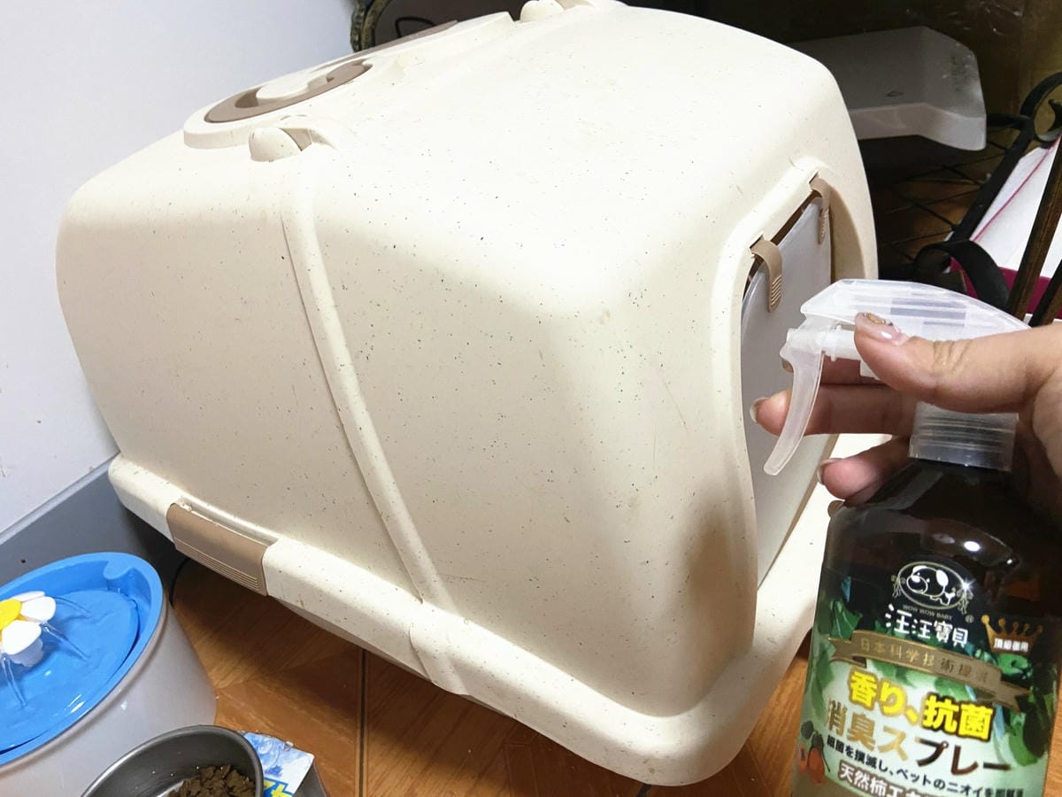 貓咪洗澡推薦_汪汪寶貝32.jpg 貓咪洗澡推薦_汪汪寶貝32.jpg