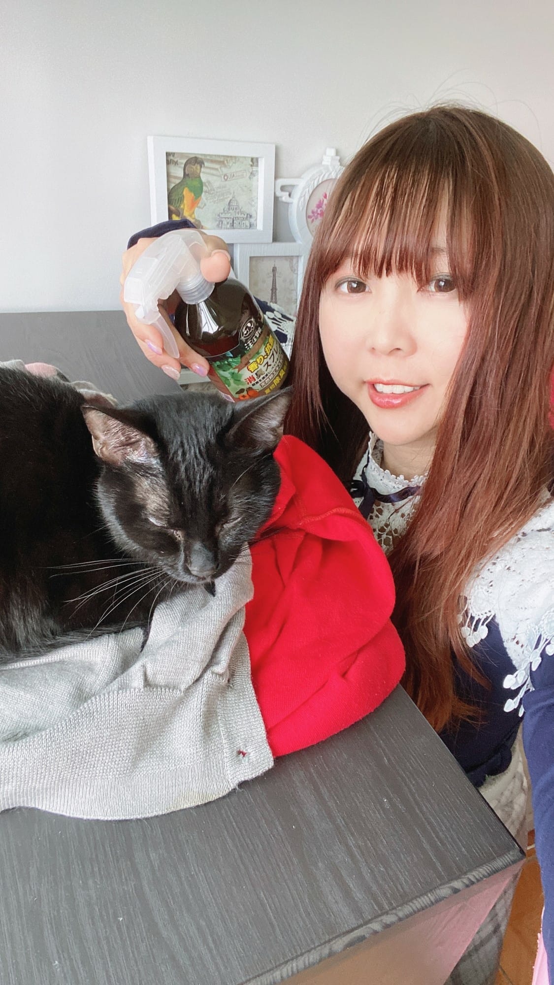 貓咪洗澡推薦_汪汪寶貝33.jpg 貓咪洗澡推薦_汪汪寶貝33.jpg