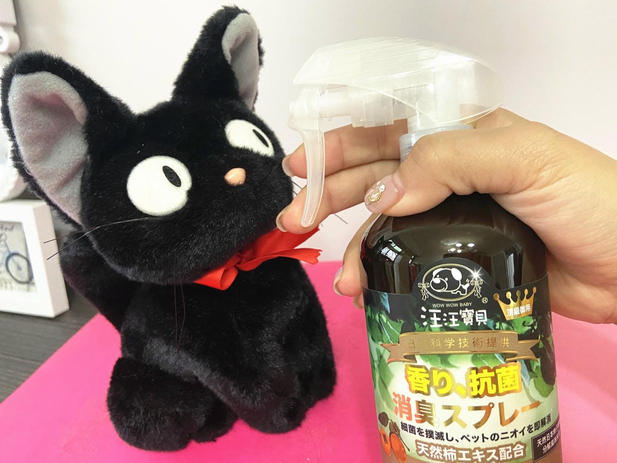 貓咪洗澡推薦_汪汪寶貝31.jpg 貓咪洗澡推薦_汪汪寶貝31.jpg