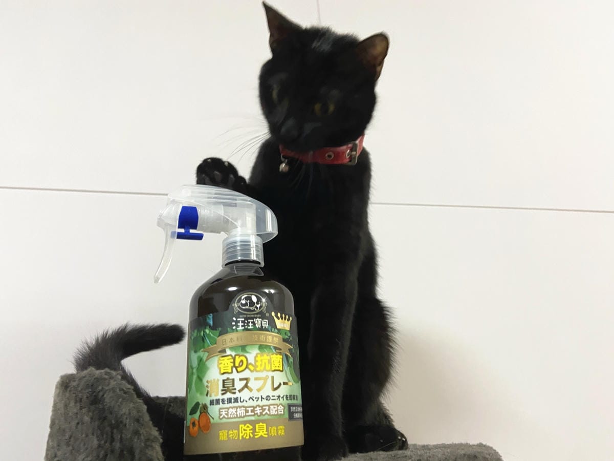 貓咪洗澡推薦_汪汪寶貝21.jpg 貓咪洗澡推薦_汪汪寶貝21.jpg