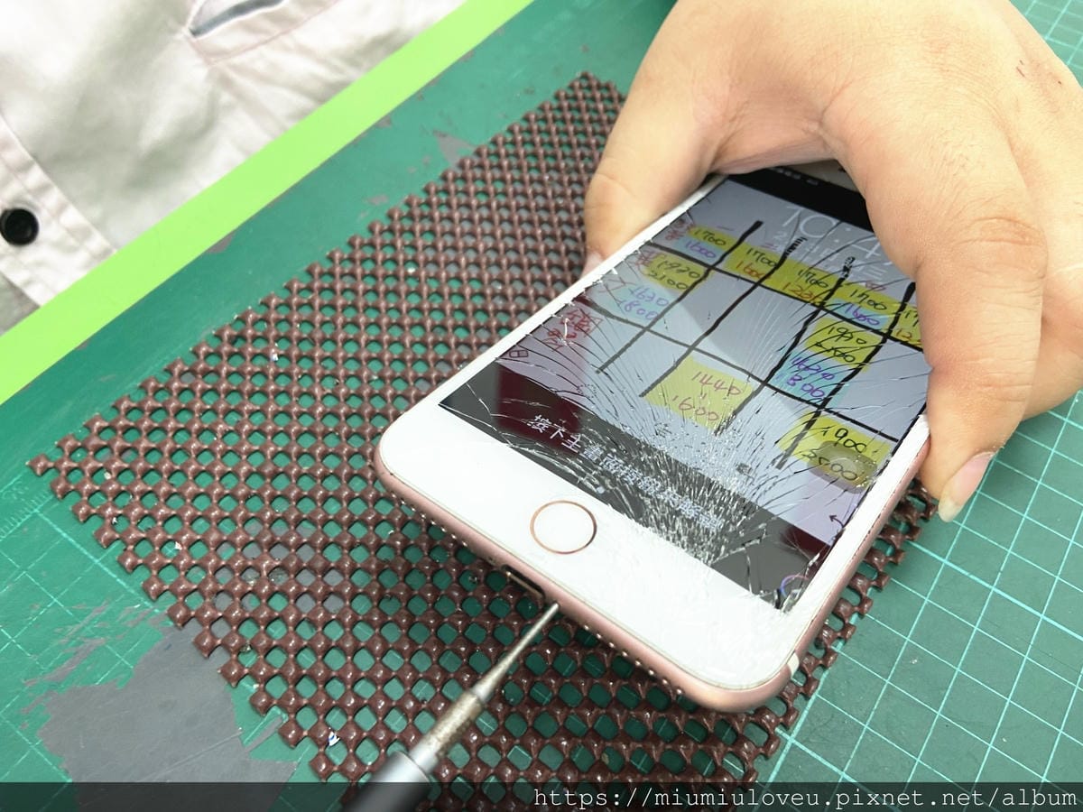 IMG_9904_副本.jpg IMG_9904_副本.jpg