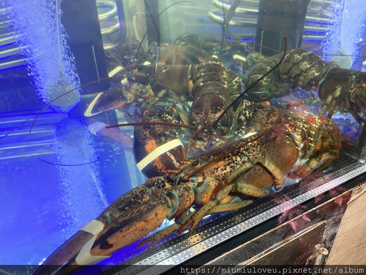 IMG_3723_副本.jpg IMG_3723_副本.jpg