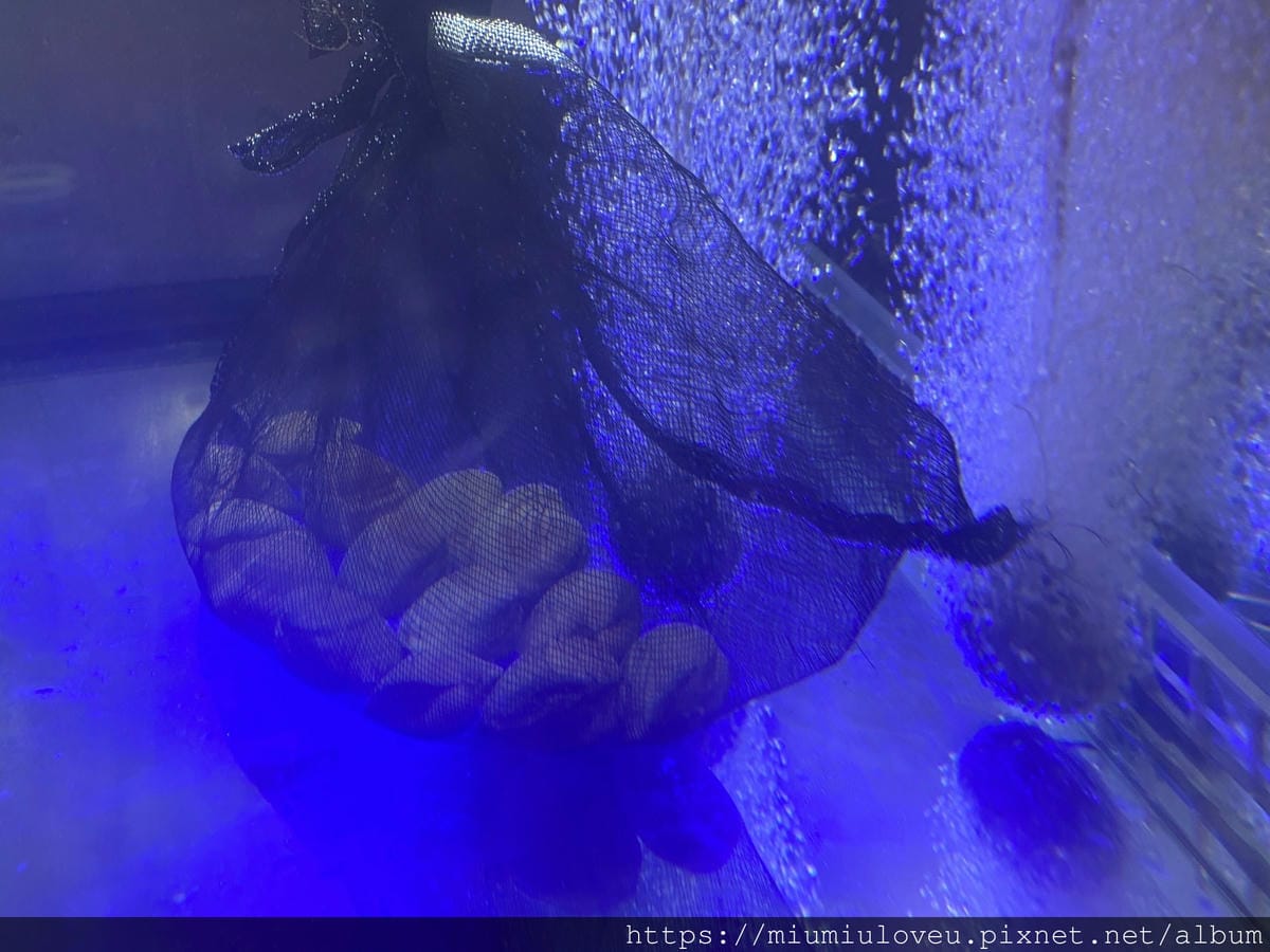 IMG_3710_副本.jpg IMG_3710_副本.jpg