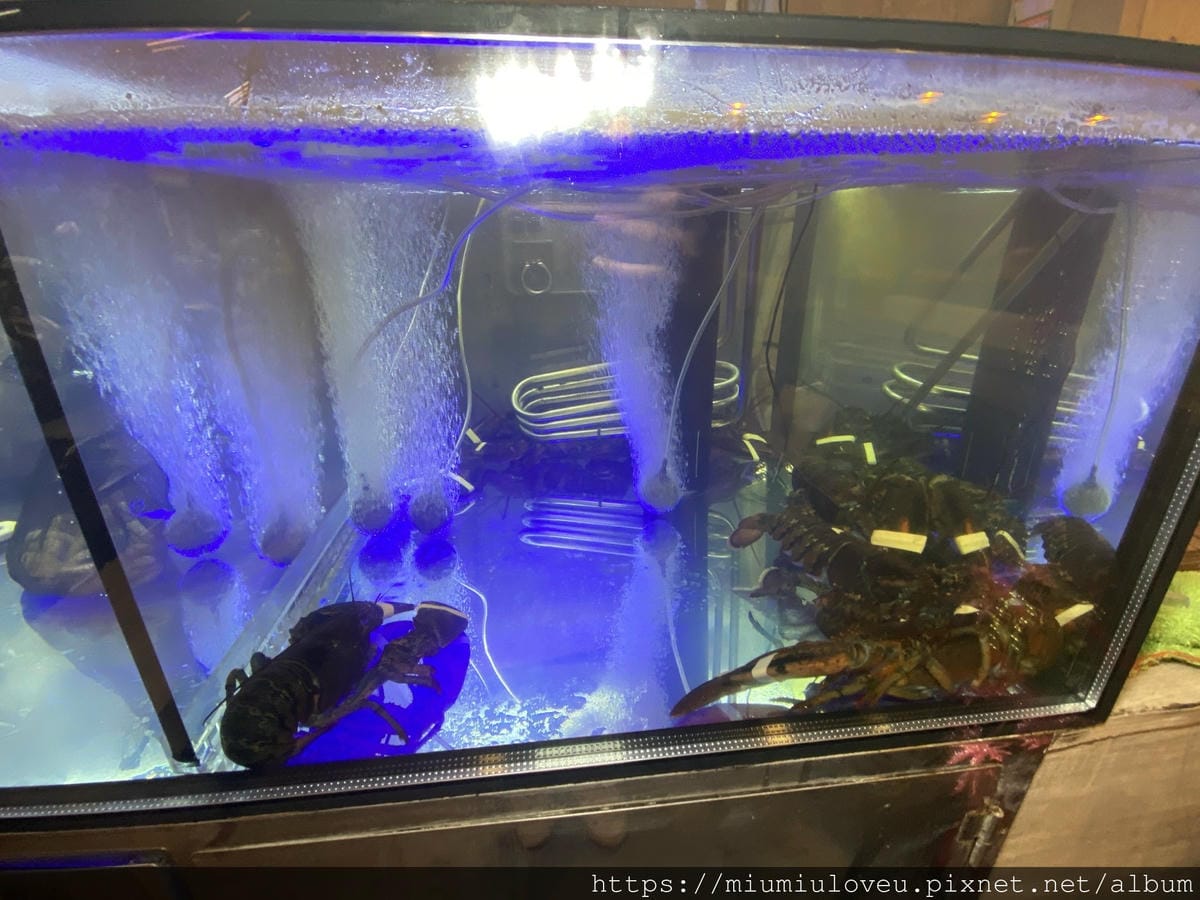 IMG_3708_副本.jpg IMG_3708_副本.jpg