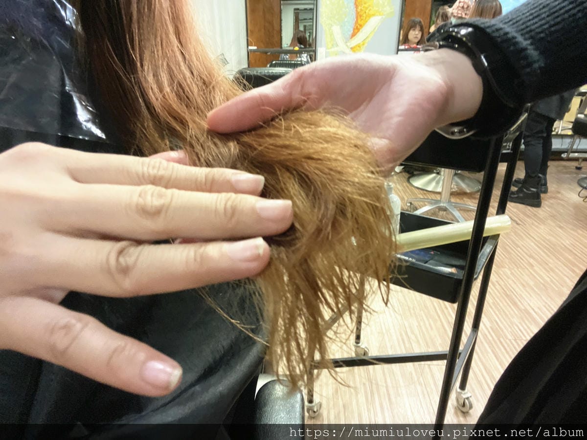 IMG_4871_副本.jpg IMG_4871_副本.jpg