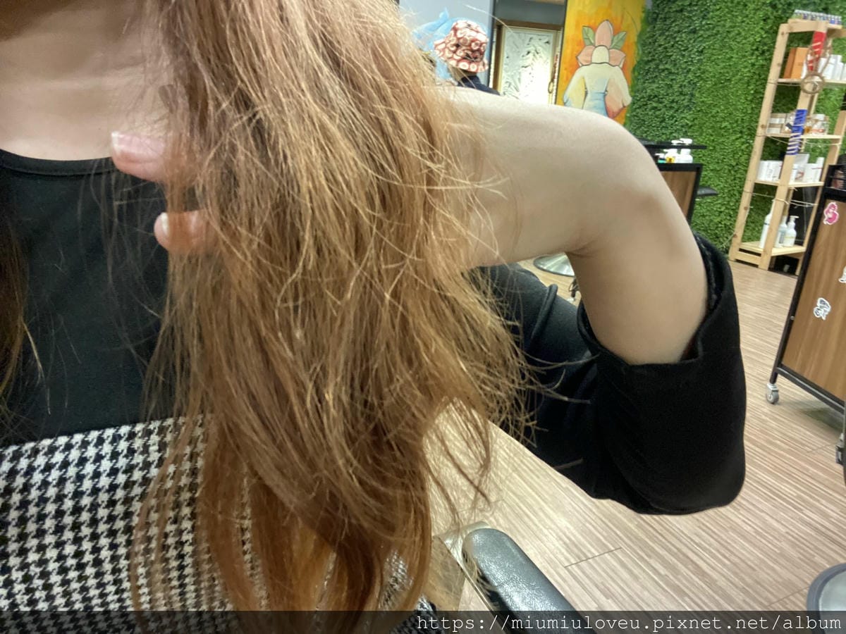 IMG_4811_副本.jpg IMG_4811_副本.jpg