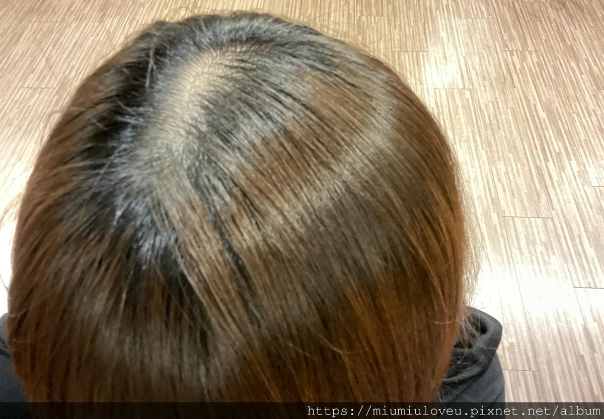 IMG_4817_副本.jpg IMG_4817_副本.jpg