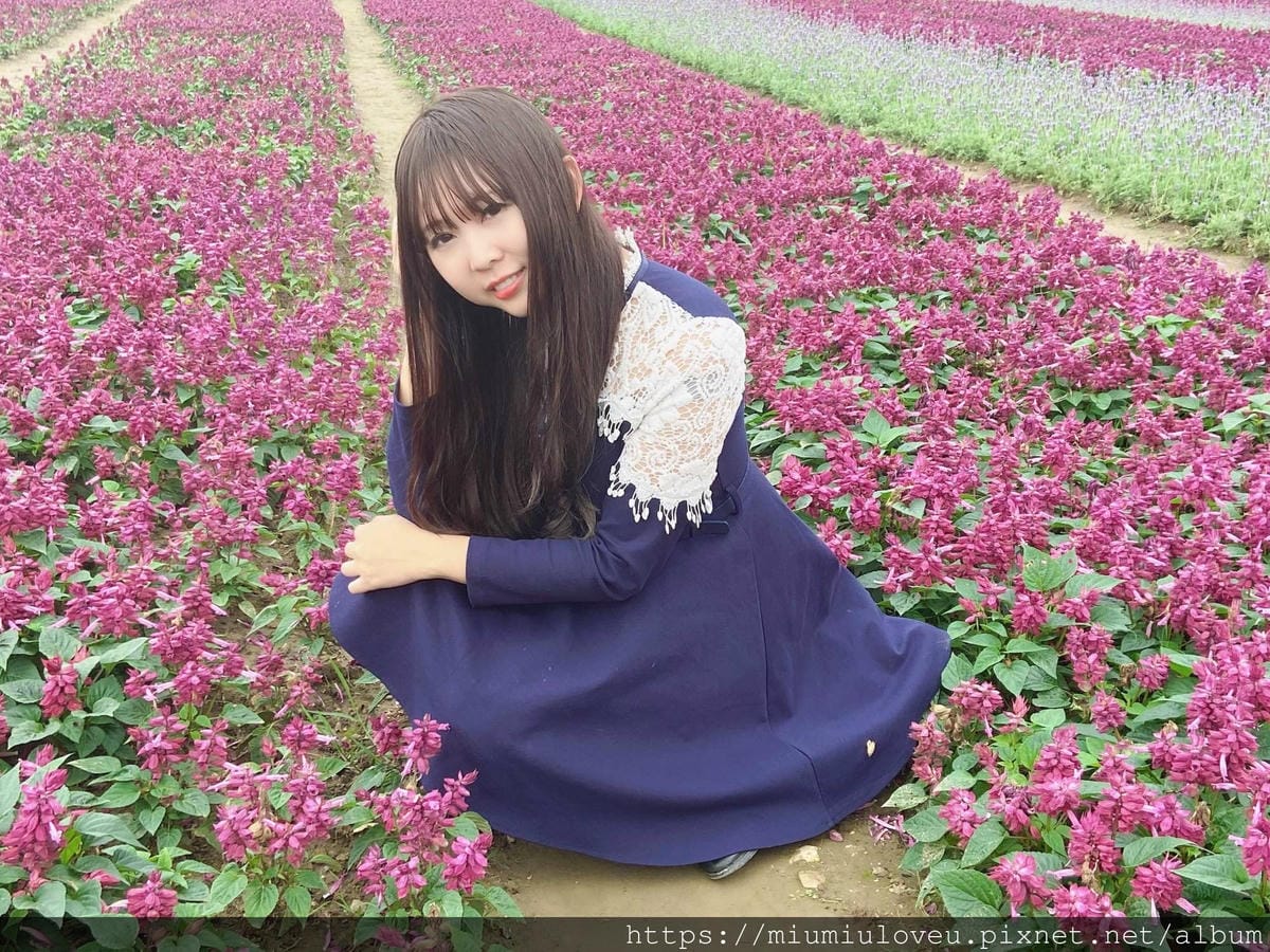 IMG_6491_副本.jpg IMG_6491_副本.jpg