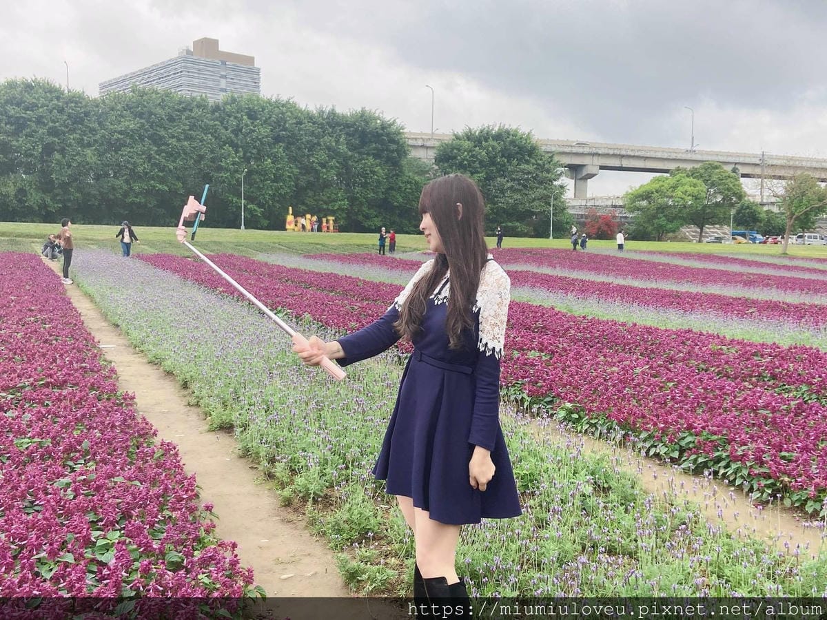 IMG_6470_副本.jpg IMG_6470_副本.jpg