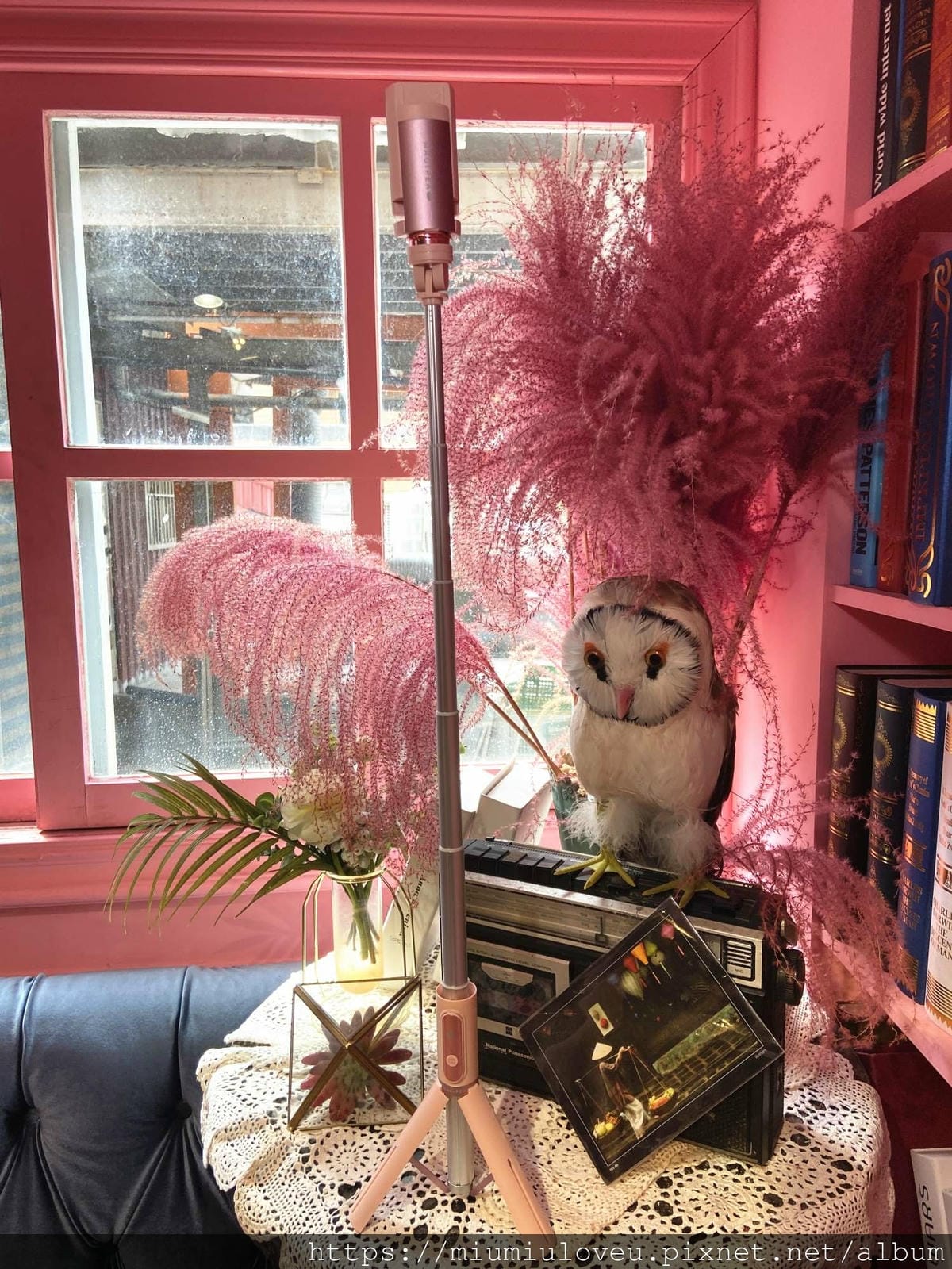 IMG_6236_副本.jpg IMG_6236_副本.jpg