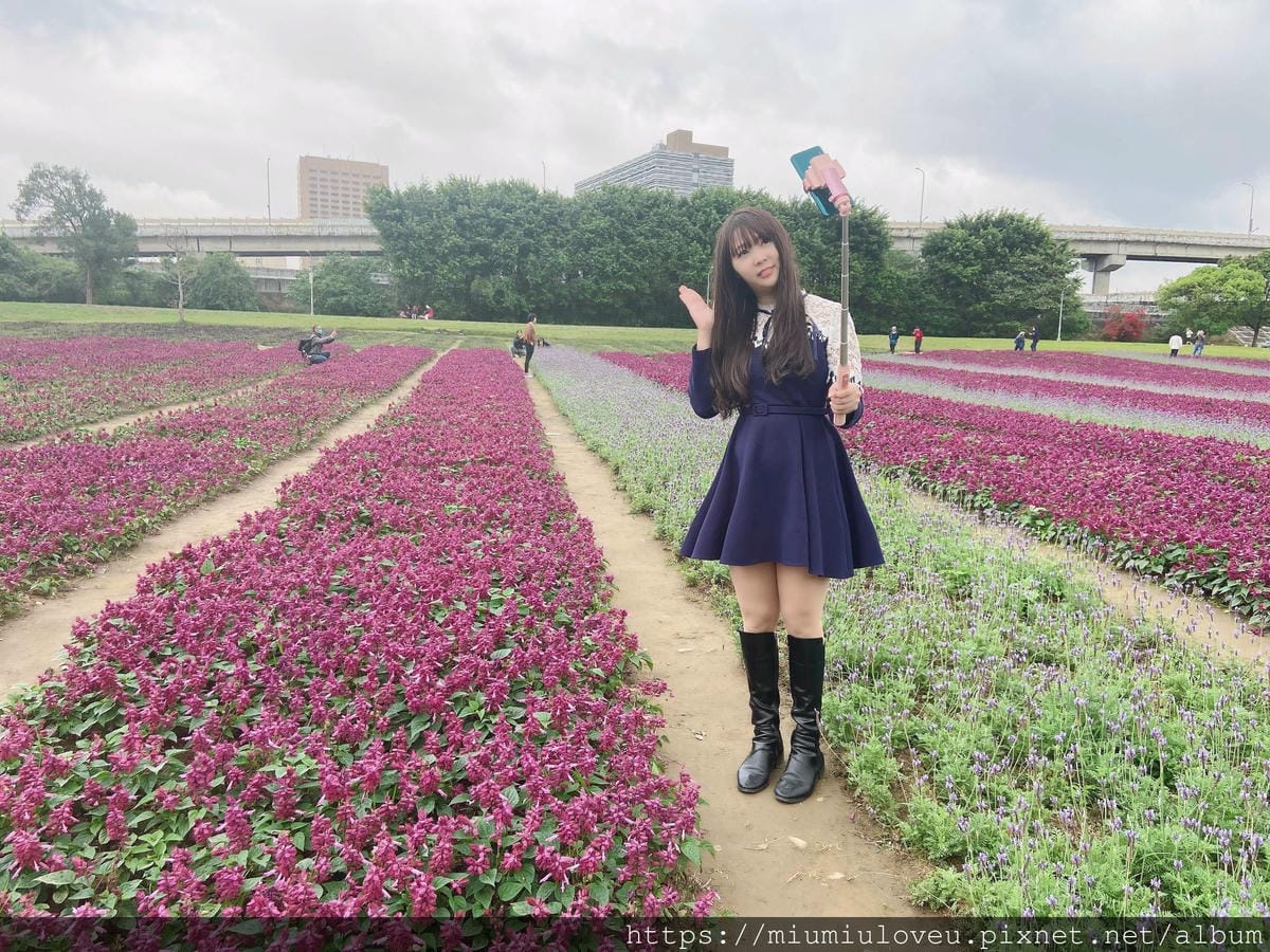 IMG_6469_副本.jpg IMG_6469_副本.jpg