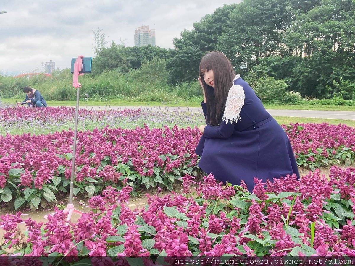 IMG_6489_副本.jpg IMG_6489_副本.jpg