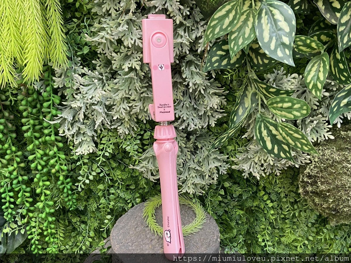 IMG_6299_副本.jpg IMG_6299_副本.jpg