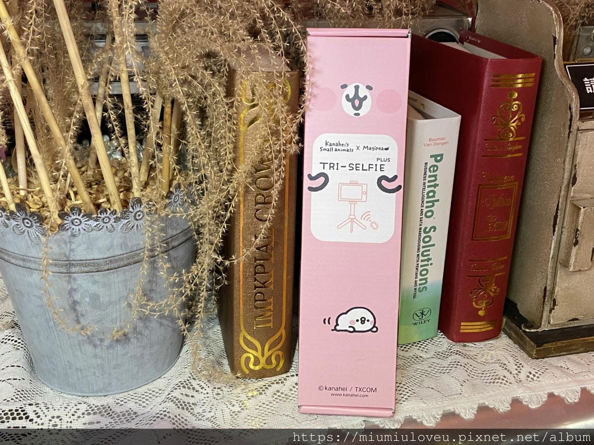 IMG_6257_副本.jpg IMG_6257_副本.jpg