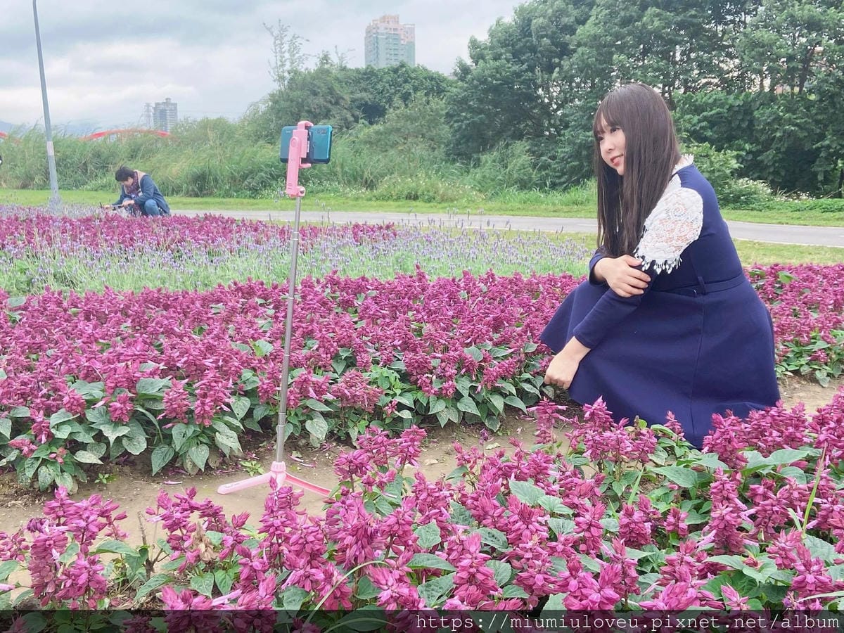 IMG_6490_副本.jpg IMG_6490_副本.jpg