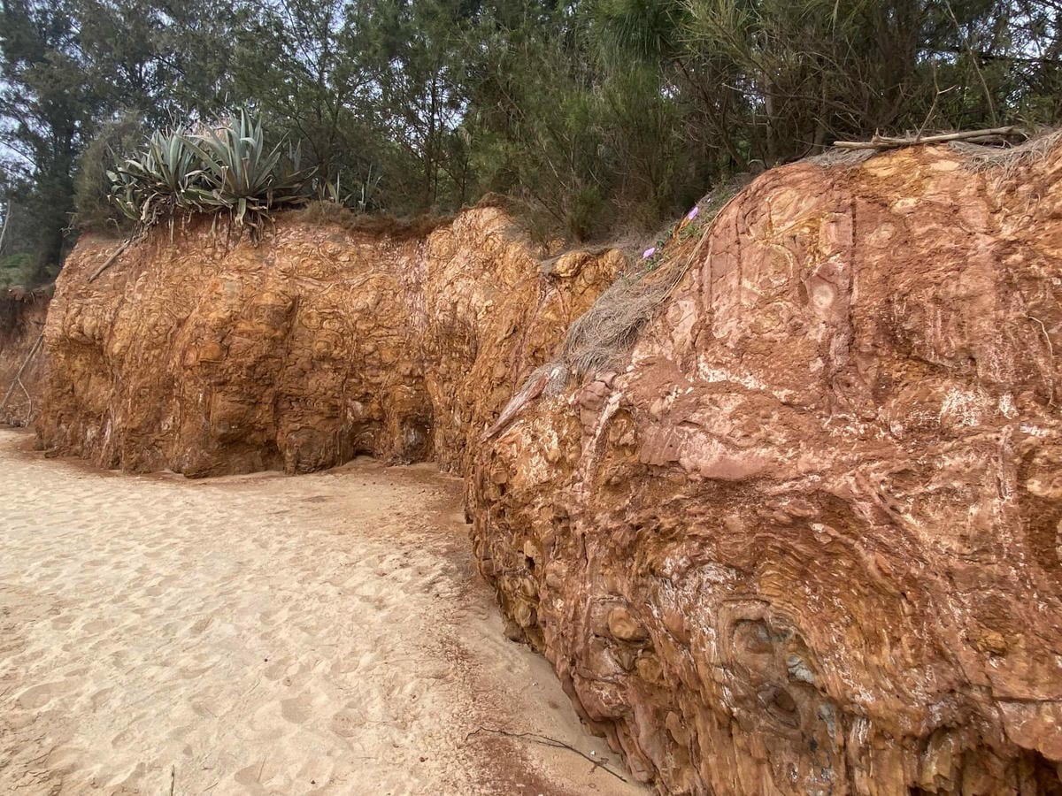 101-2_副本.jpg 101-2_副本.jpg