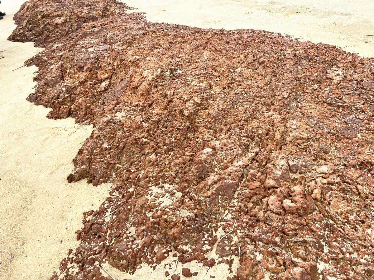 101_副本.jpg 101_副本.jpg