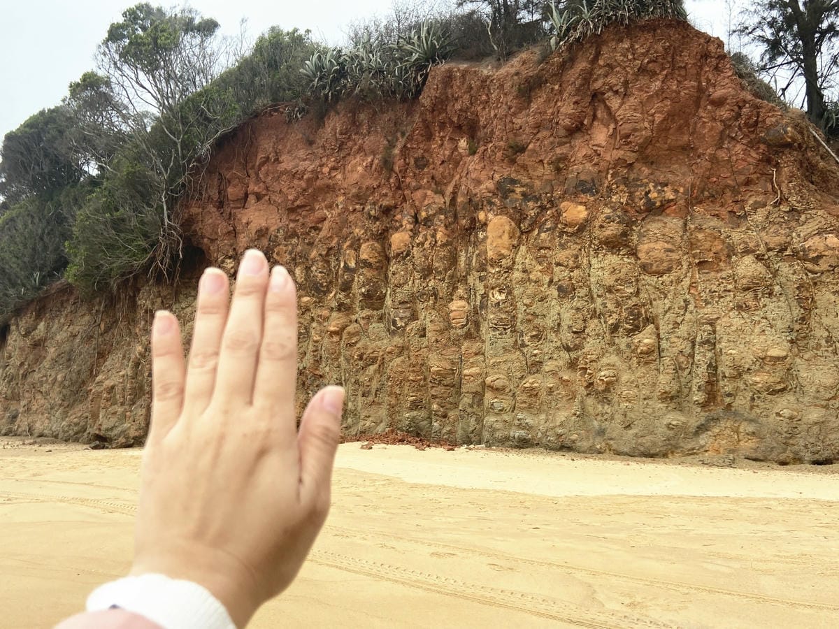 102_副本.jpg 102_副本.jpg