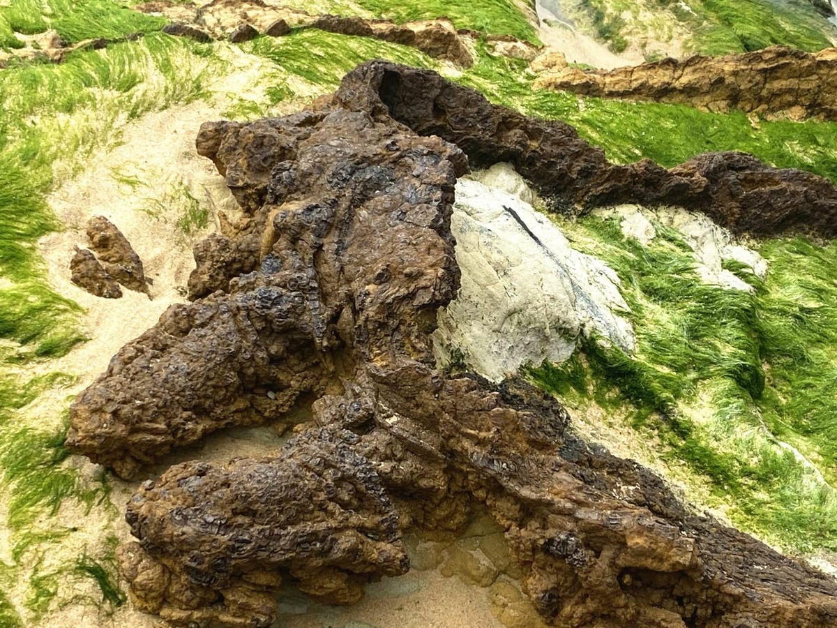 108_副本.jpg 108_副本.jpg