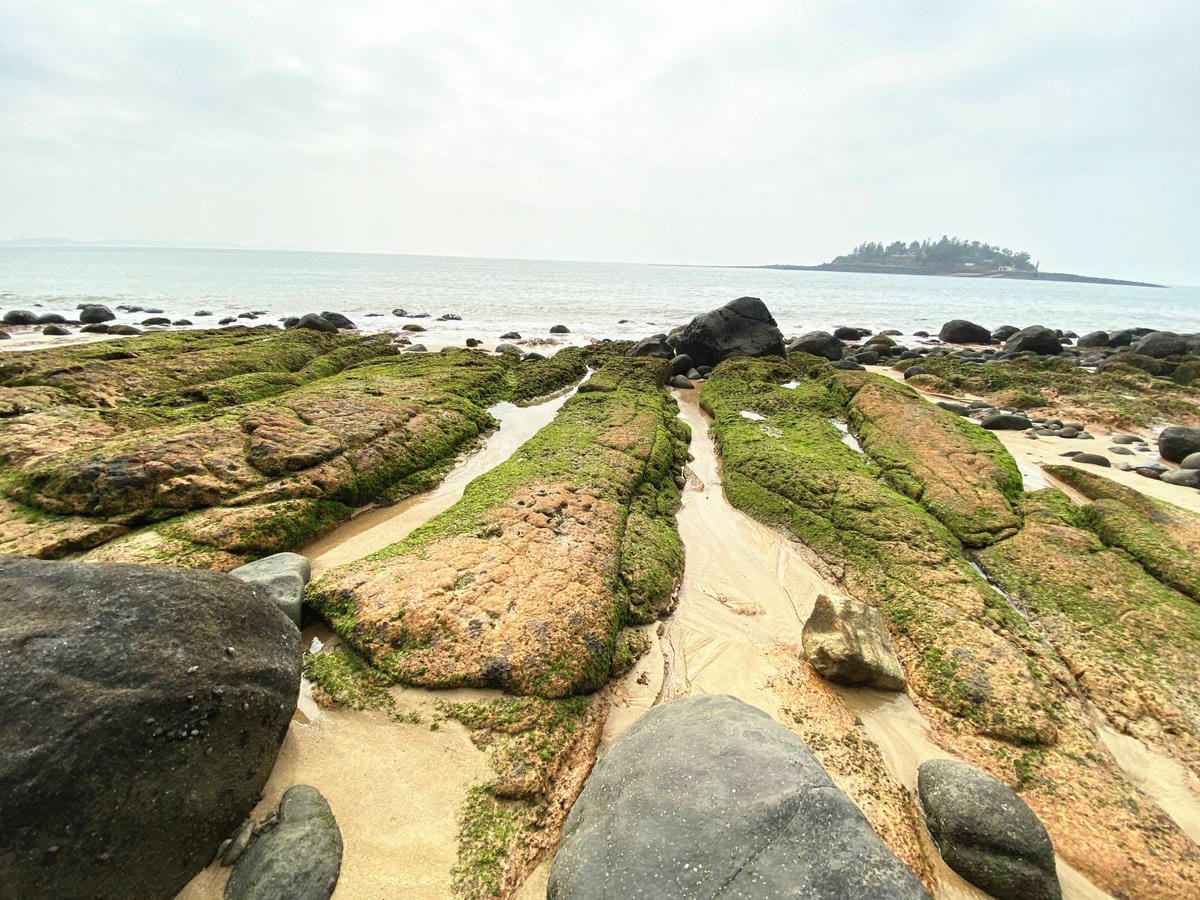 115_副本.jpg 115_副本.jpg