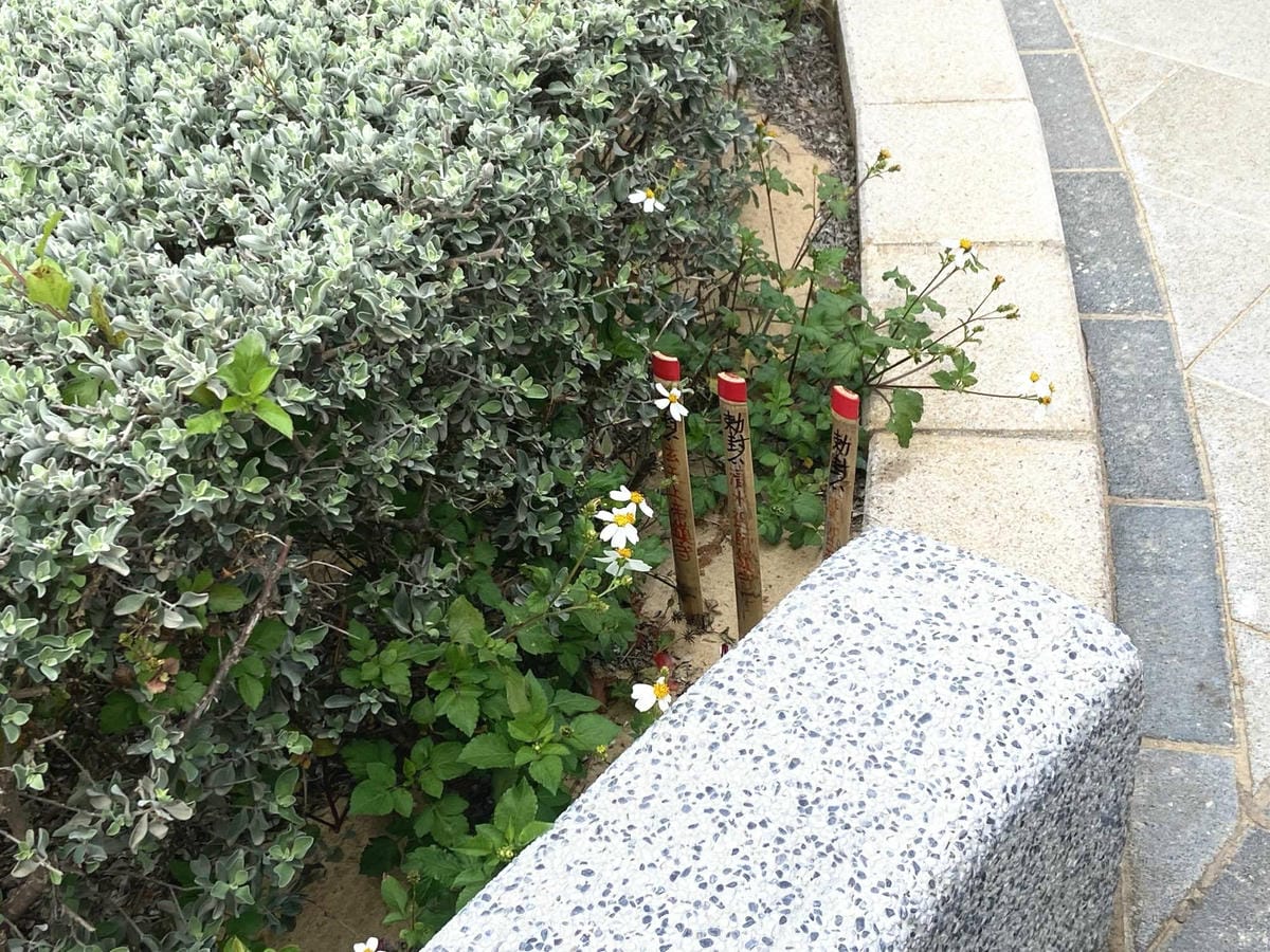 113_副本.jpg 113_副本.jpg