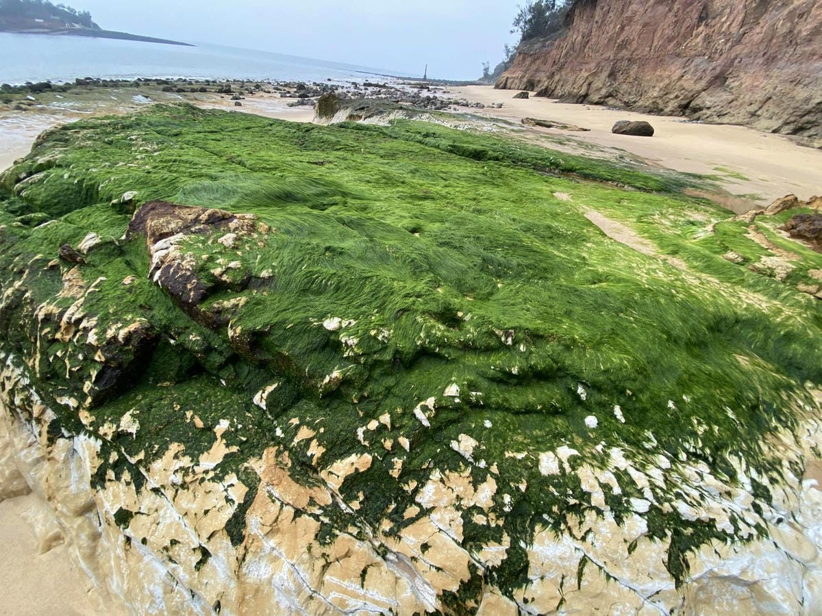 106_副本.jpg 106_副本.jpg