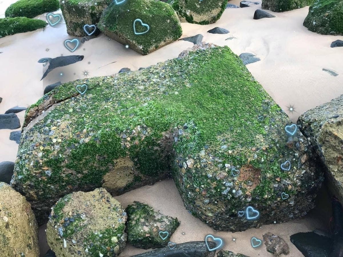 105_副本.jpg 105_副本.jpg