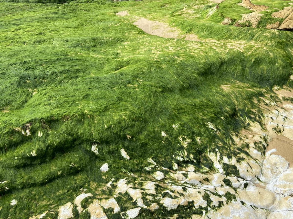 107_副本.jpg 107_副本.jpg