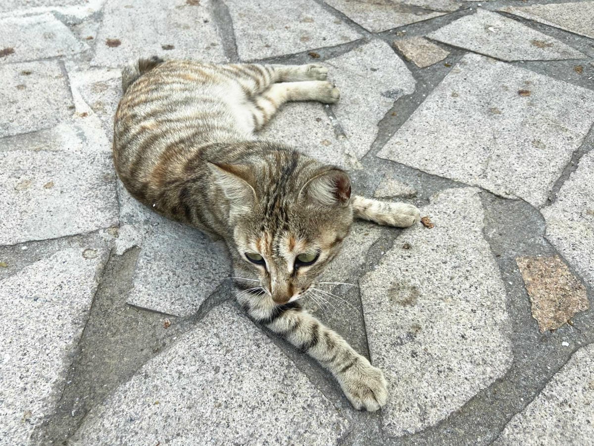 84_副本.jpg 84_副本.jpg