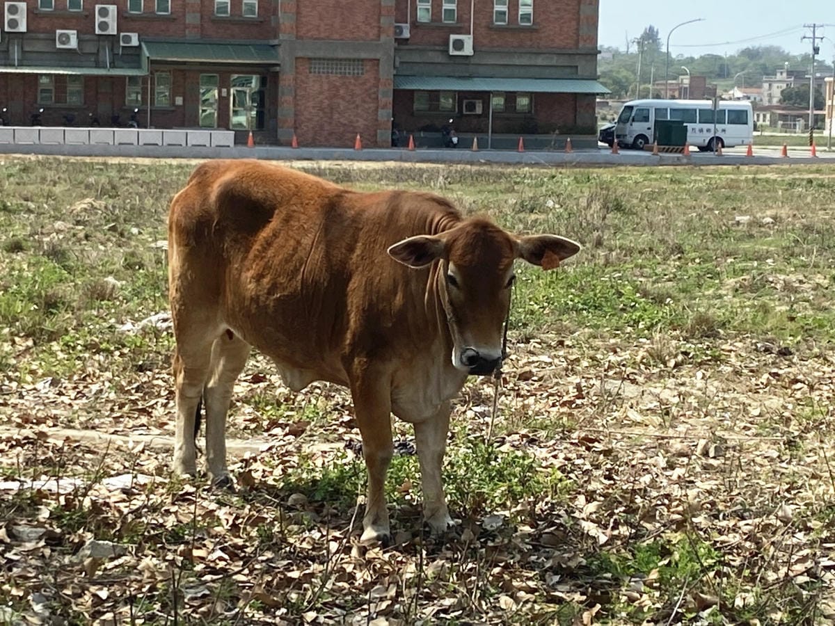 7._副本.jpg 7._副本.jpg