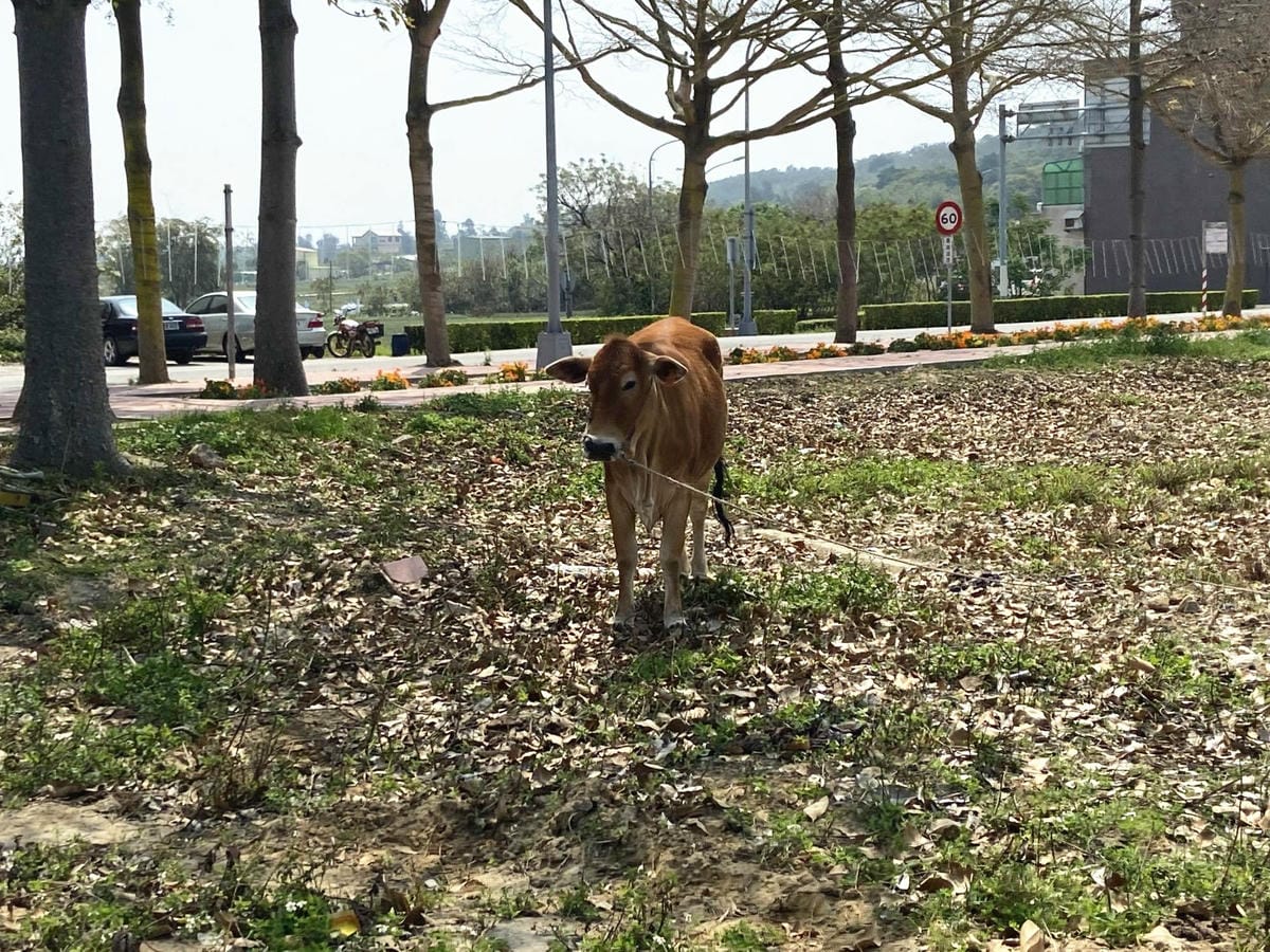 8._副本.jpg 8._副本.jpg