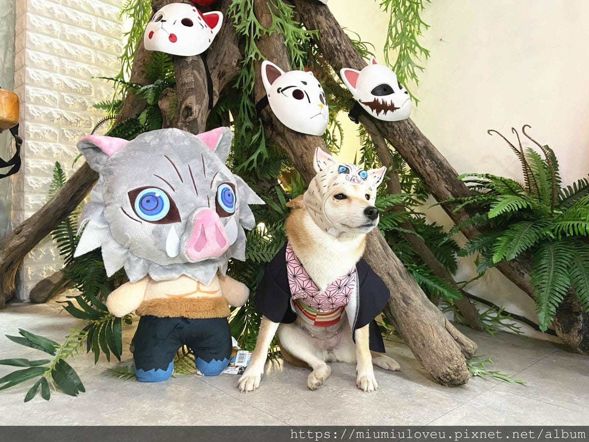 IMG_7309_副本.jpg IMG_7309_副本.jpg